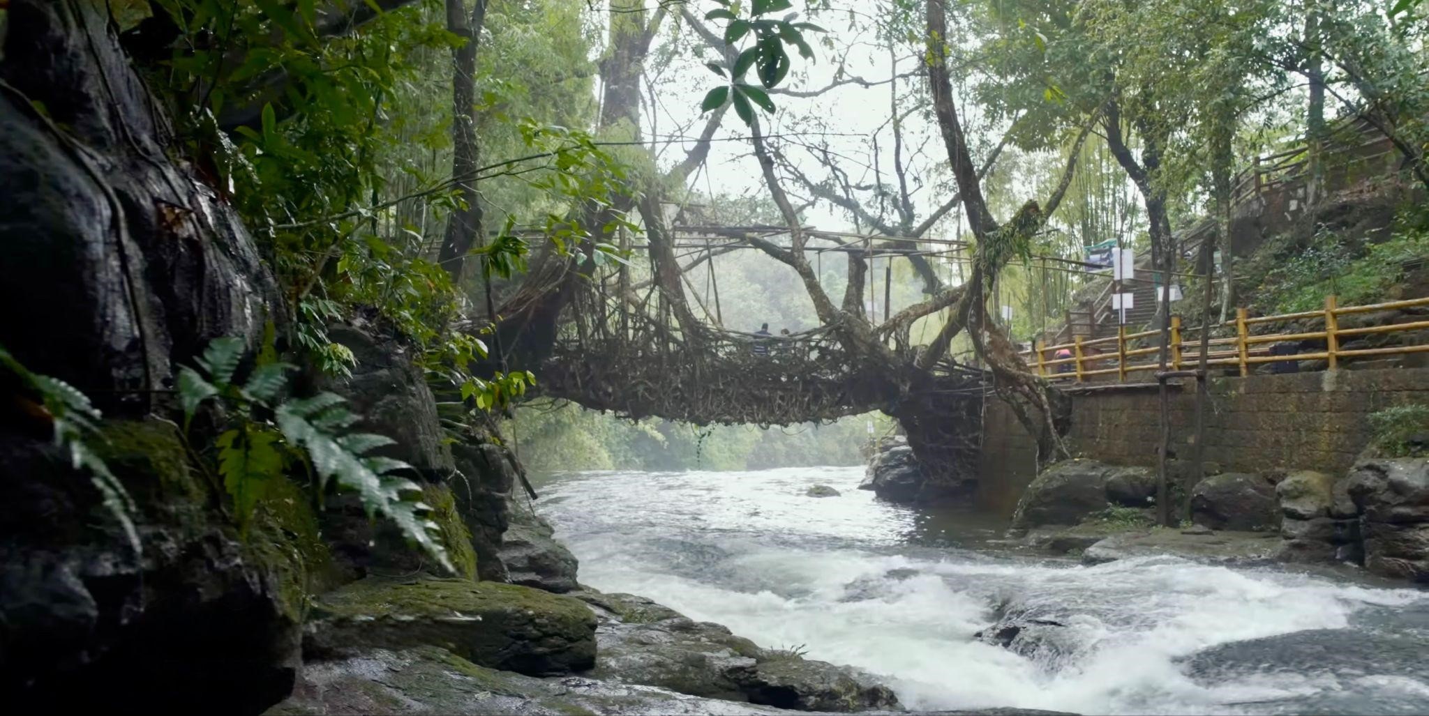 インド マウリンノン